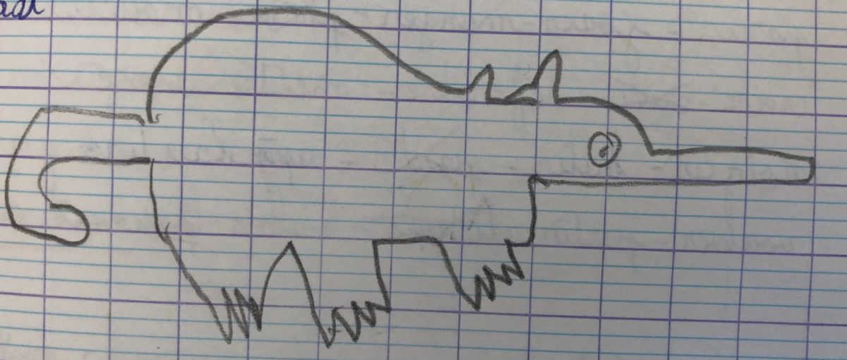 Notre colonie de rats d’eau » classe de Mme Nunez